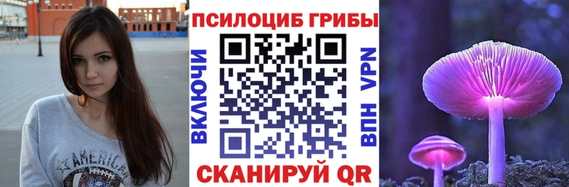 Псилоцибиновые грибы MAGIC MUSHROOMS  наркотики  Боровск 
